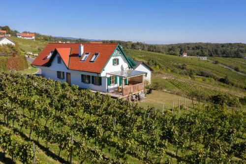 Kellerst�ckl Weinblick