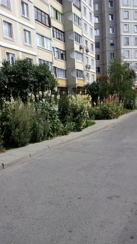 Apartment Yesenina 39