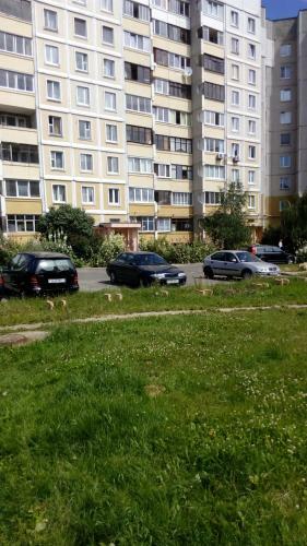 Apartment Yesenina 39