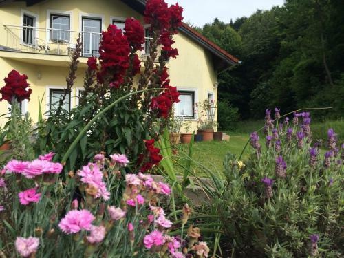 Das Gelbe Haus