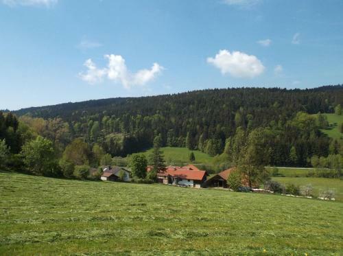 Apartamento Ferienwohnung Lindenhof