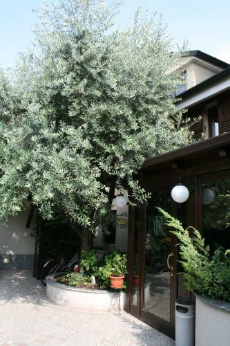 Hotel Rocco