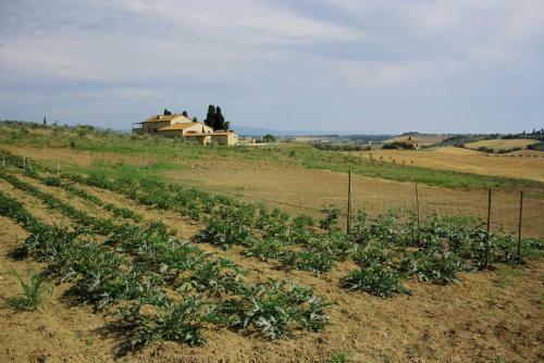 Apartamento Il Poderino Della Gioiosa