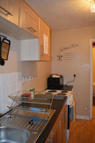 Glasgow Green Apartment 1
