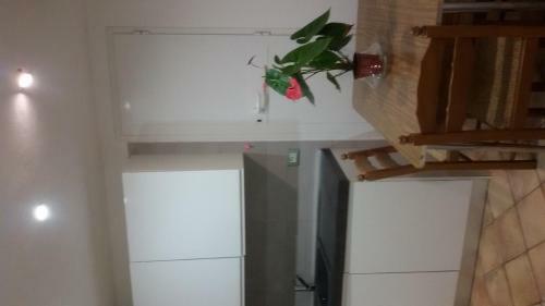 Apartamento La Limonaia