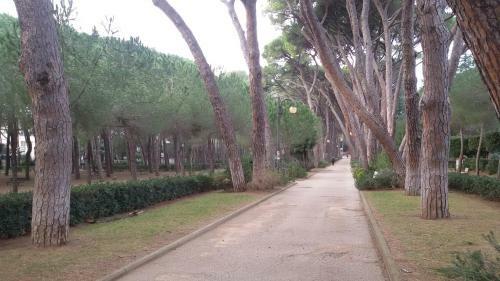 Apartamento La Limonaia