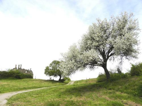Borgo Di Ceri B&B