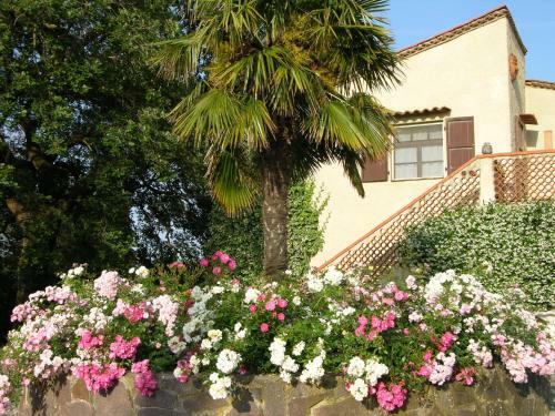 Apartamento Podere Il Giurato
