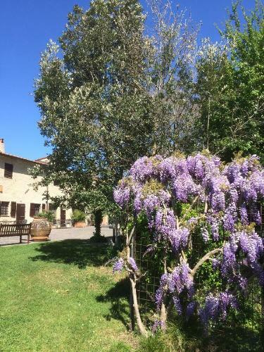Apartamento Podere Il Giurato