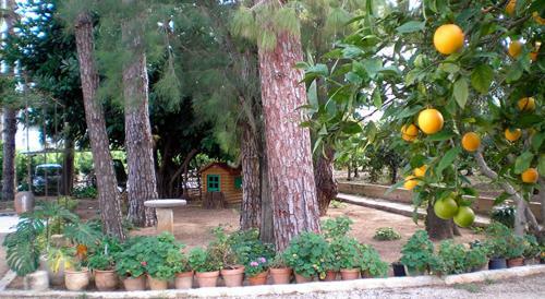 Hotel El Sequer Casa Rural