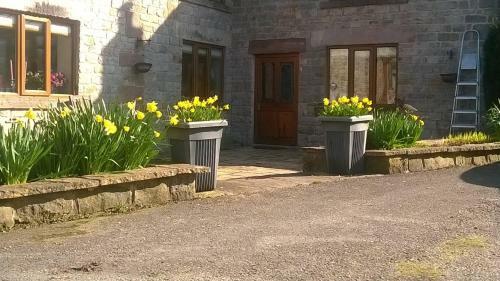 Middle Farm Bed And Breakfast