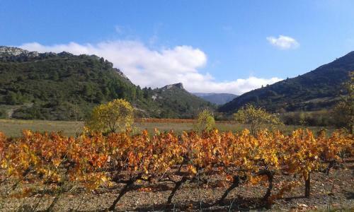Le Petit Corbi�res
