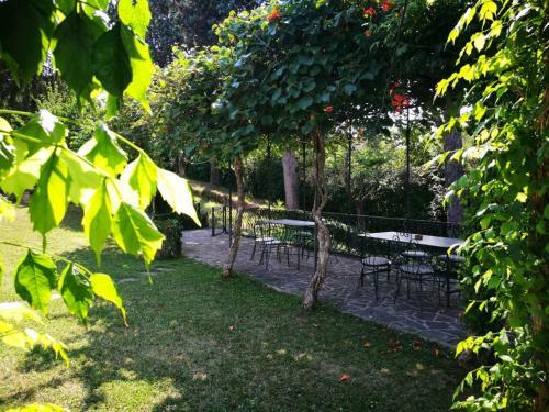 Il Pettirosso B&B