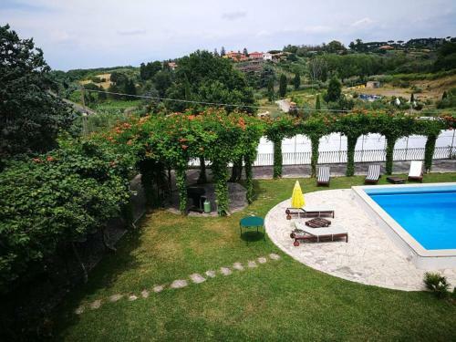 Il Pettirosso B&B