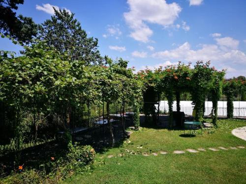 Il Pettirosso B&B