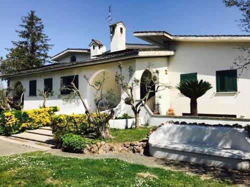 Il Pettirosso B&B