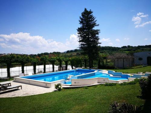Il Pettirosso B&B