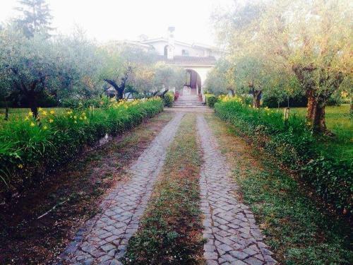 Il Pettirosso B&B
