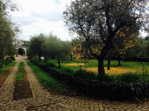 Il Pettirosso B&B