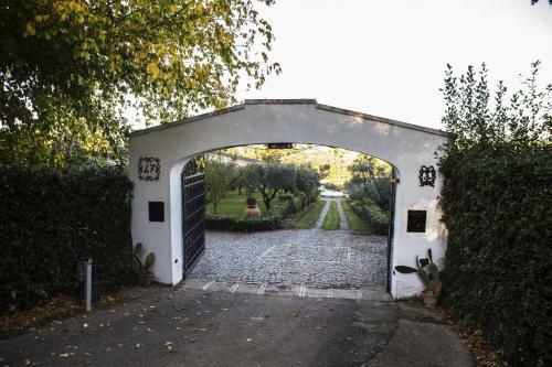 Il Pettirosso B&B