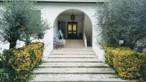 Il Pettirosso B&B