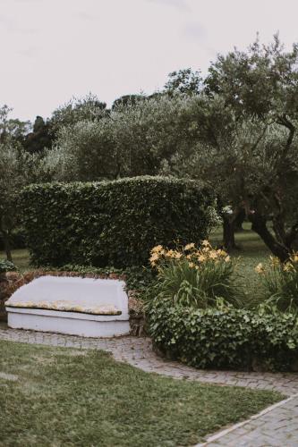 Il Pettirosso B&B