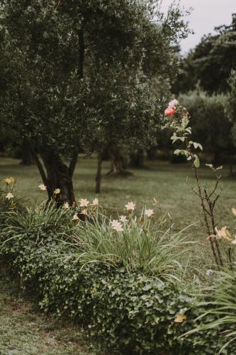 Il Pettirosso B&B