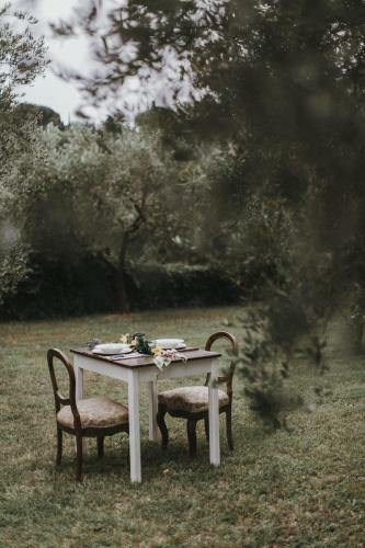 Il Pettirosso B&B