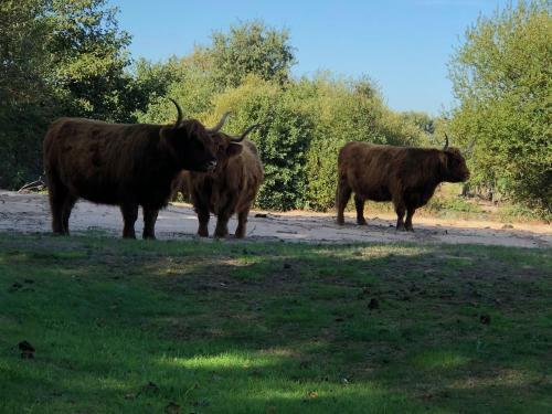 Hostal Pension Even Buiten
