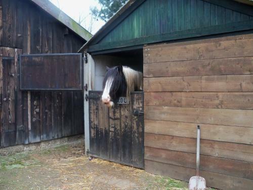 Bed & Breakfast Hoeve Heidonk