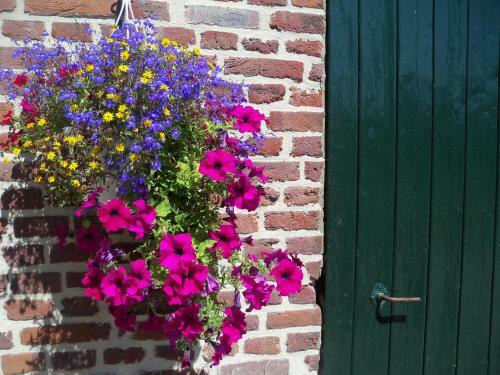 Bed & Breakfast Hoeve Heidonk