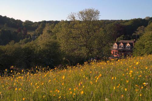 The Laurels B&B