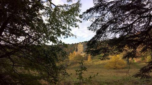 Tweed View B&B