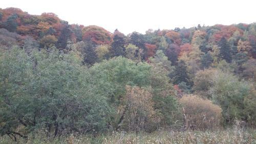 Tweed View B&B