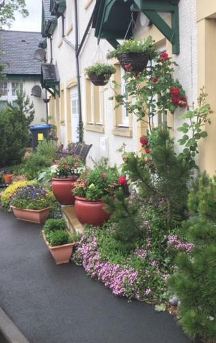 Tweed View B&B