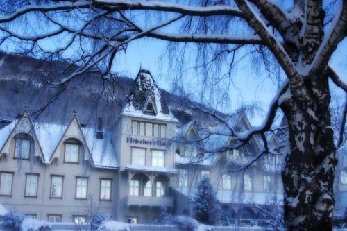 Motel Fleischer's Hotel