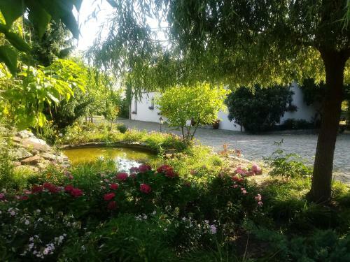 Apartamenty Za Murem