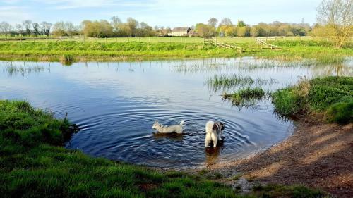 River Nene Cottages