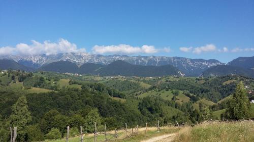 Agroturismo Casa Tabacaru