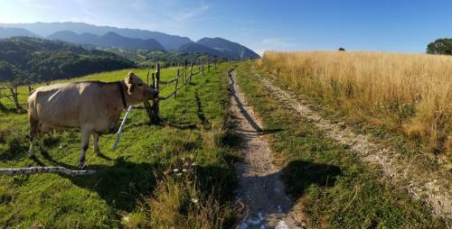 Agroturismo Casa Tabacaru