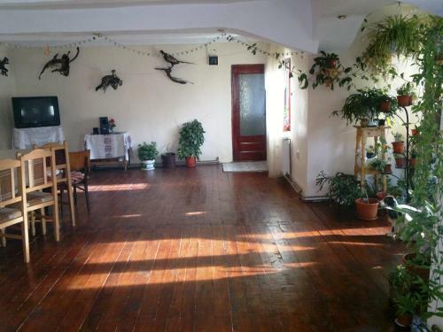 Hostal Casa Lucian