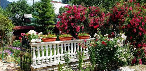 Hostal Casa Lucian