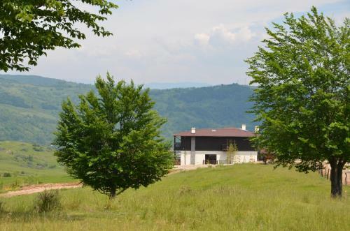 Hostal Potcoava Mountain Hideaway