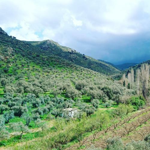 Bed & Breakfast Klaseas Tas Ev&cafe