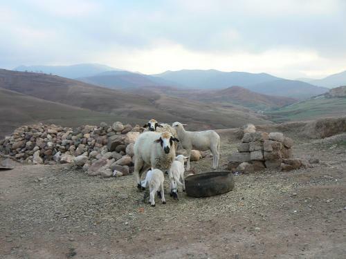 Bed & Breakfast Tigmi Nomade