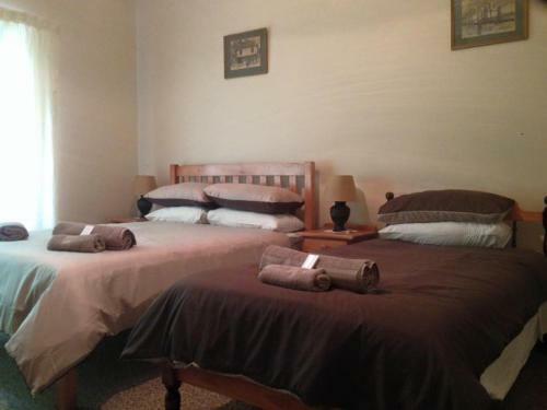 Hostal Asboom/ashtree Guesthouse