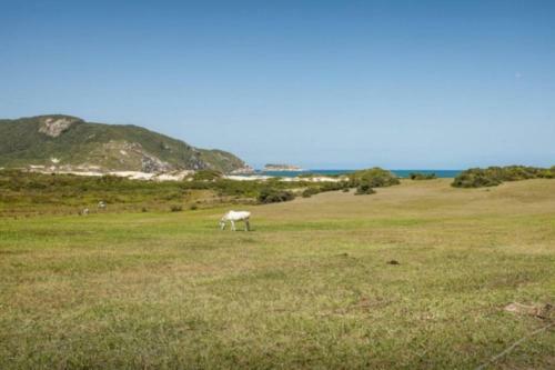 Apartamento Divino Residence