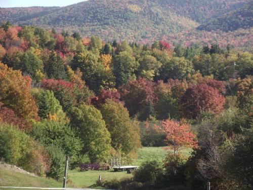 Posada Chanterelle Inn & Cottages Featuring Restaurant 100 Km