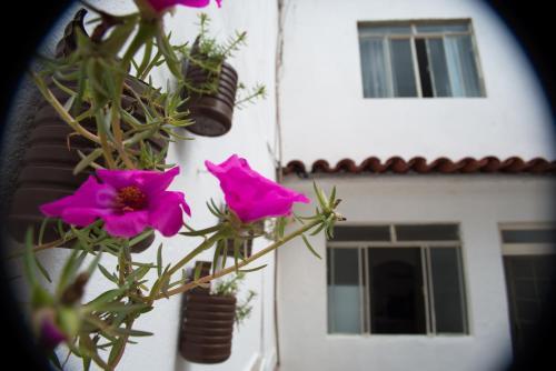 Az Hostel