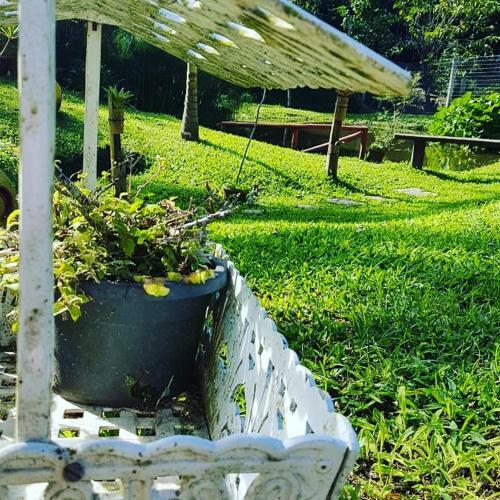 Hostal Pousada Recanto Dos Ipes